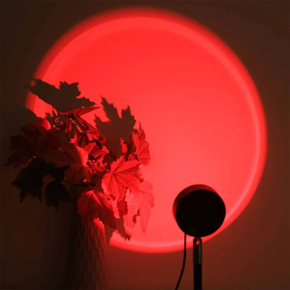 Sunset Glow Projection Lamp Arlo